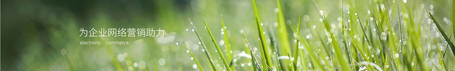 ŵϵӿƼ޹˾
